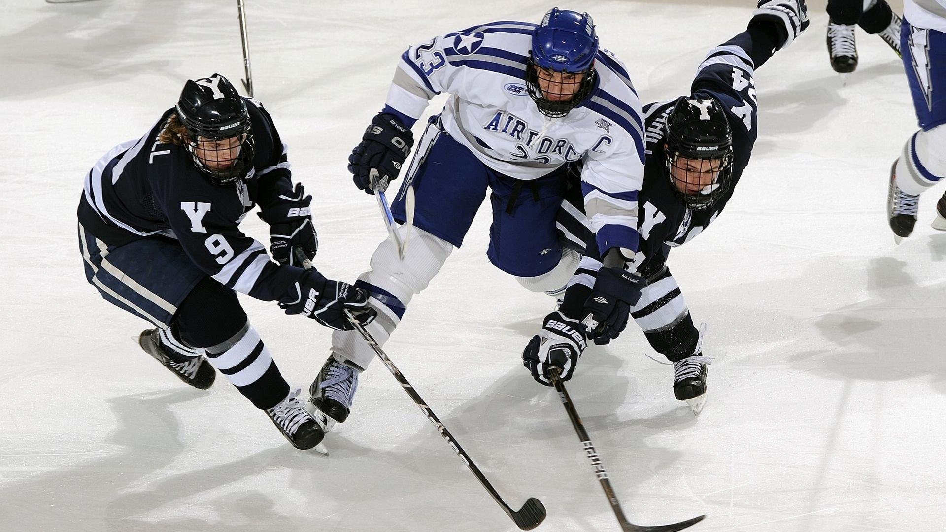 高校体育师资队伍建设与教学能力提升,加强体育教师业务技能