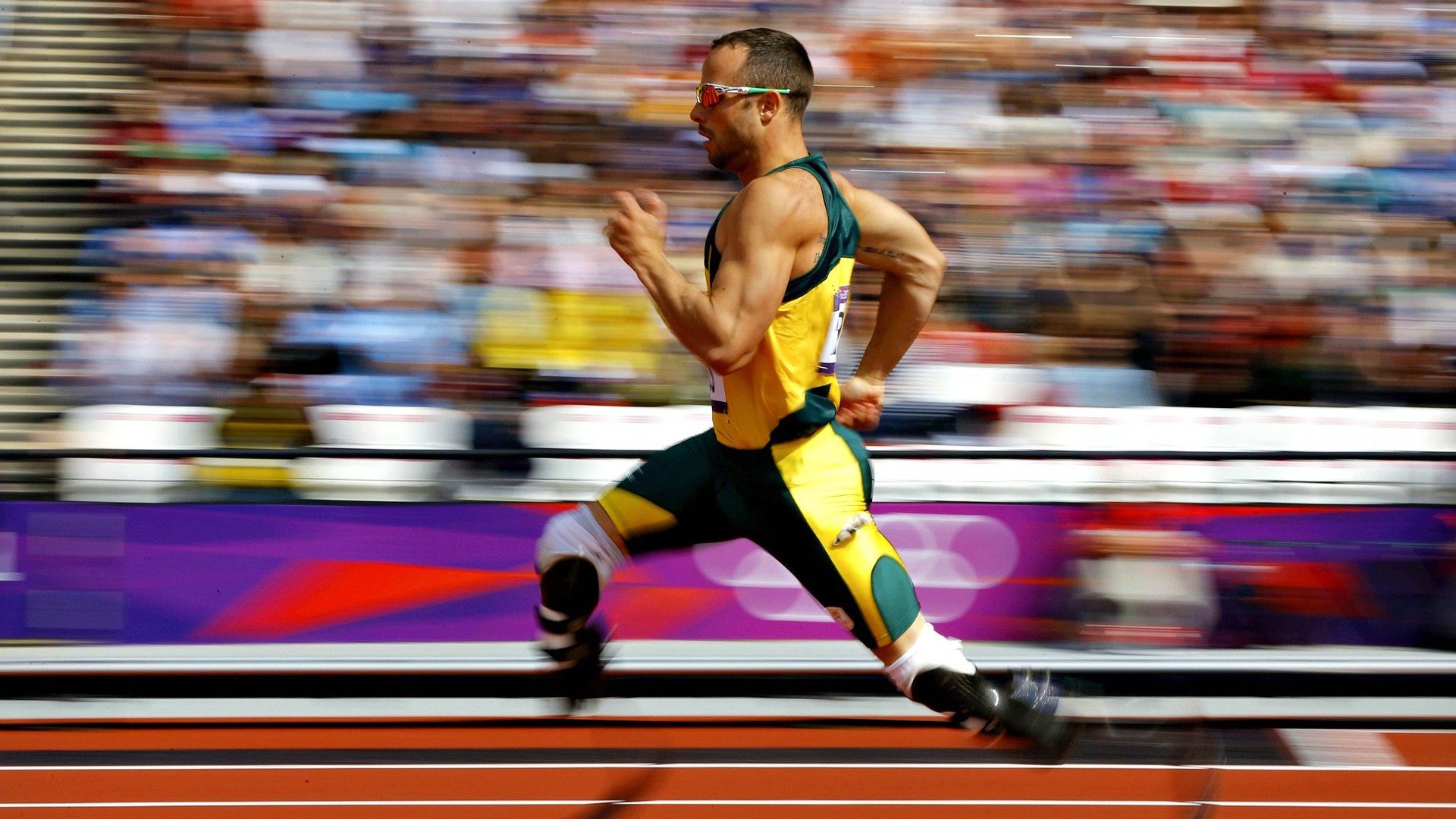 _硬地、红土、草地：不一样的场地带来不同挑战_，硬地和草地的区别