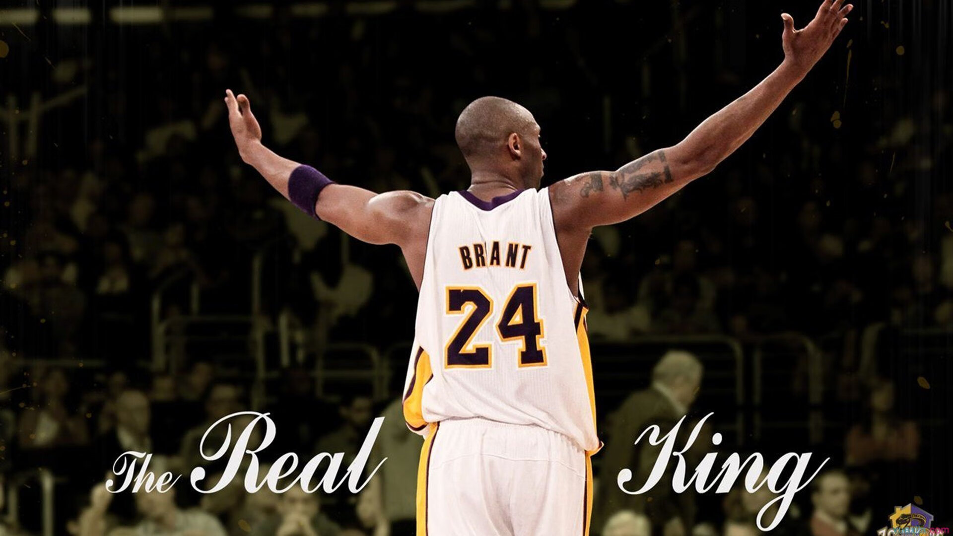 揭秘冠军教头：战术背后的秘密武器，冠军教练百度百科